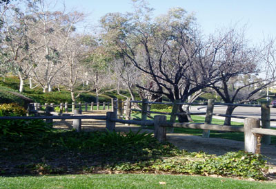 Cowan Hills Equestrian Trail along Newport Boulevard